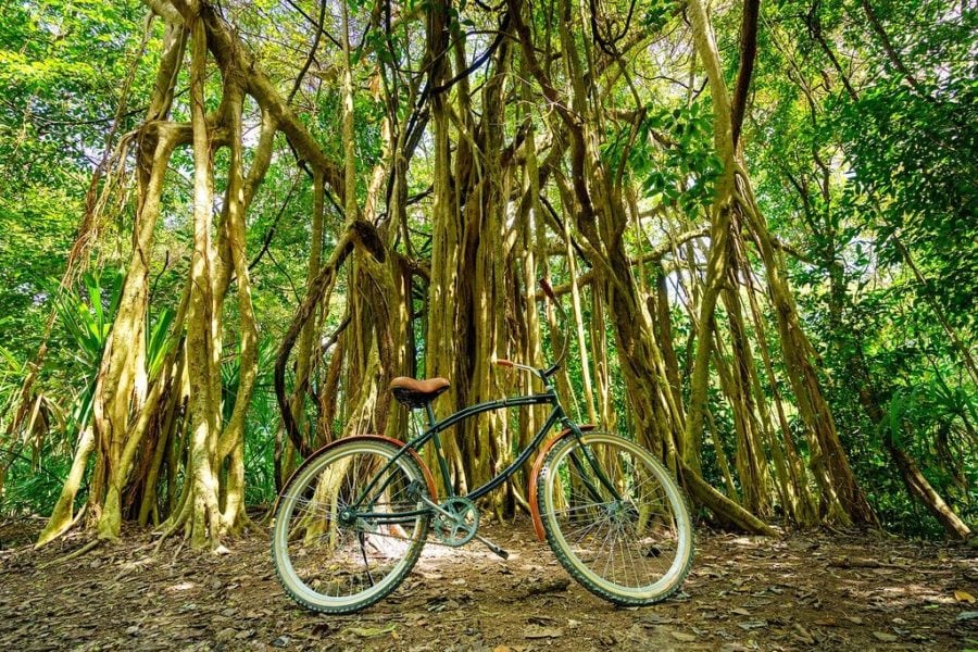 Coba Ruins Bike Rental