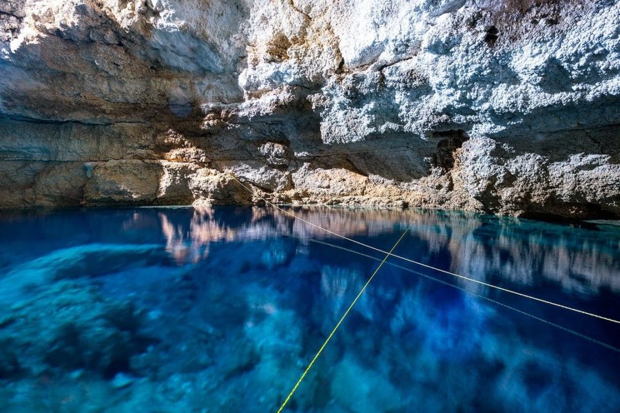 Coba Cenote Swimming