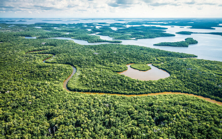 The Everglades in Florida