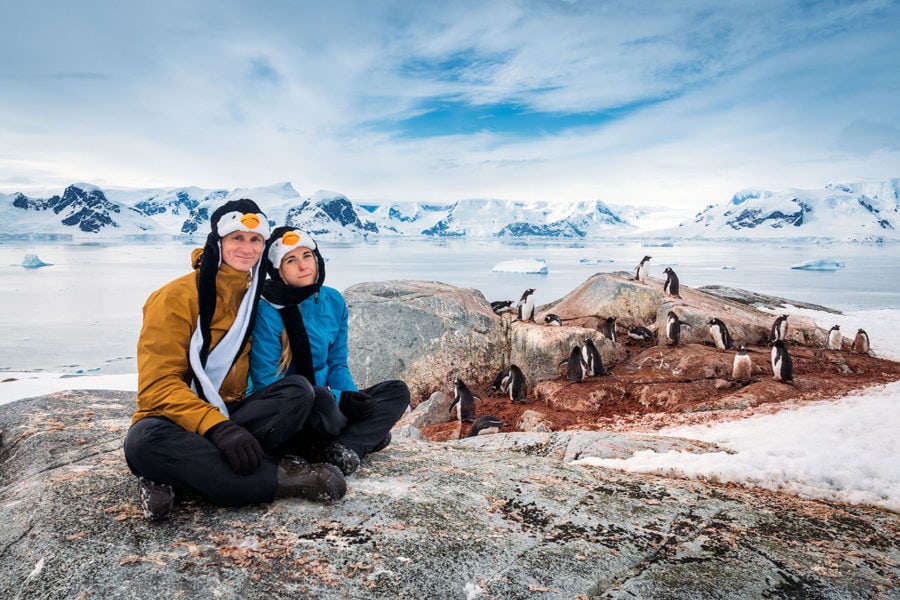 Gentoo Penguins in Antarctica