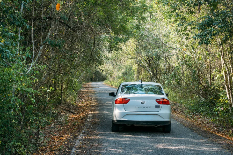 Driving to Calakmul Ruins