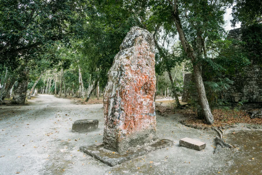 Walking Through the Ruins