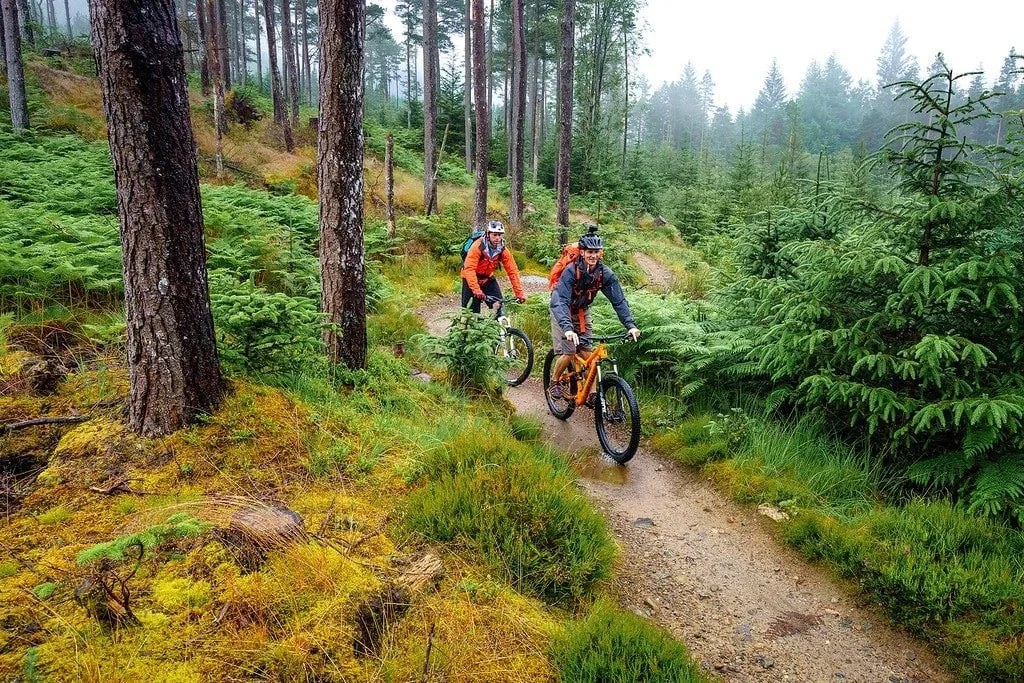 Mountain Biking Highlands