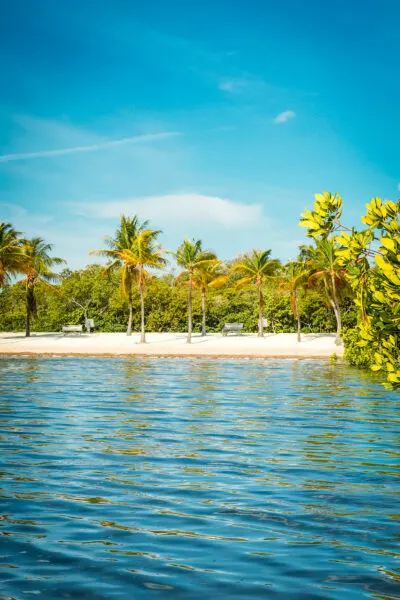 John Pennekamp State Park Beach