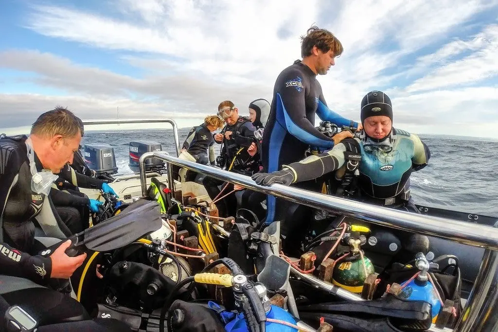 Strapping on the Dive Gear